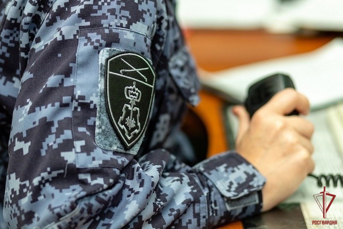 Сотрудники Рогвардии тульского региона сделали 250 выездов за неделю по тревоге Сотрудники Рогвардии тульского региона сделали 250 выездов за неделю по тревоге