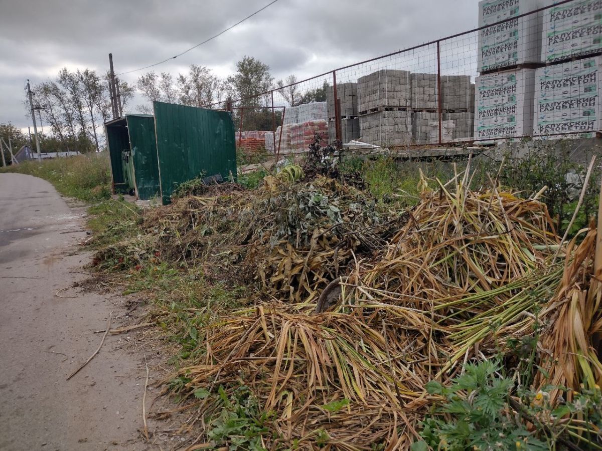 Траву – в компост, ветки – сжечь, или Новые правила обращения с ТКО