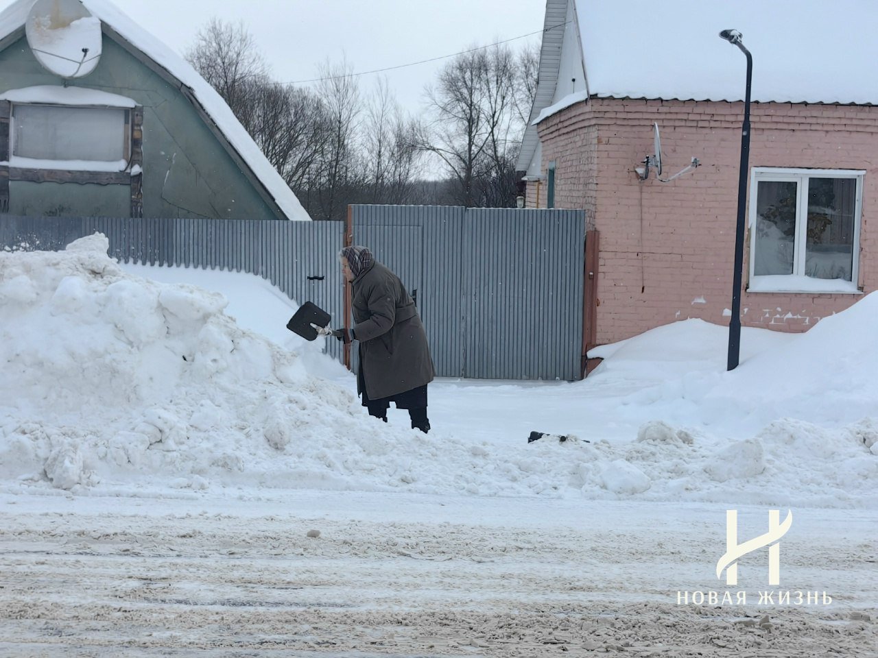 photo_2026-02-20_16-27-49
