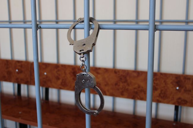 В Тульской области житель региона осужден за незаконный оборот наркотиков и психотропных веществ
