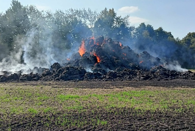 Почему нельзя разводить неконтролируемые костры и сжигать мусор на неподготовленных площадках?