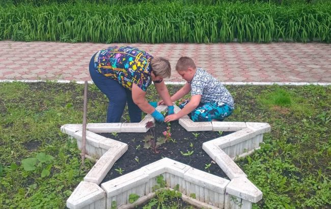 Жители Плавского района делают добрые дела