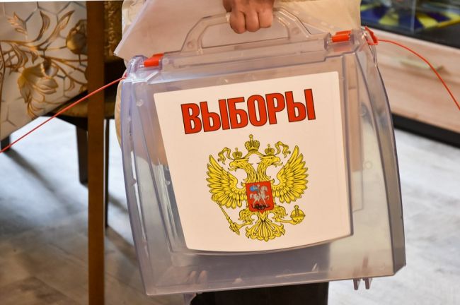 Более 64% туляков и жителей области проголосовали на выборах