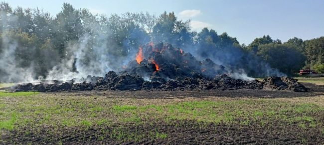 Управление Росреестра по Тульской области напоминает об опасности выжигания сухой травянистой растительности