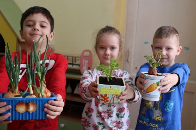 Жители Тульской области могут принять участие в акции «Дети вместо цветов»