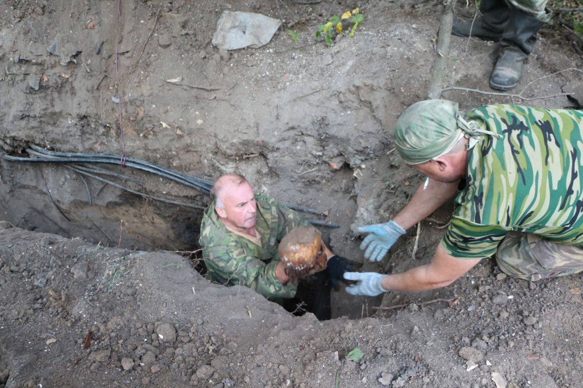 В Плавском районе найдены останки 9 воинов, погибших в годы Великой Отечественной войны