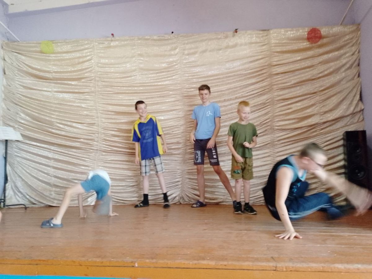 Сельчане Плавского района устроили день танцев