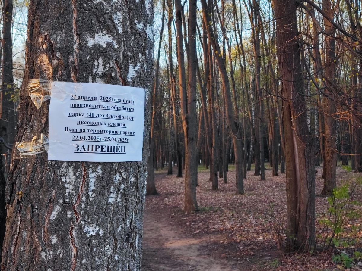 Городской парк обработают от иксодовых клещей