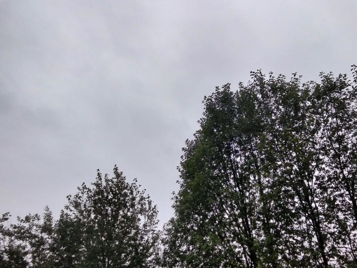 Завтра плавчан снова ожидает дождливая погода