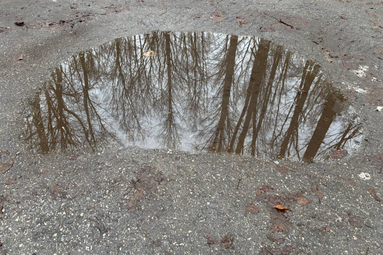 Серый день — не повод для грусти