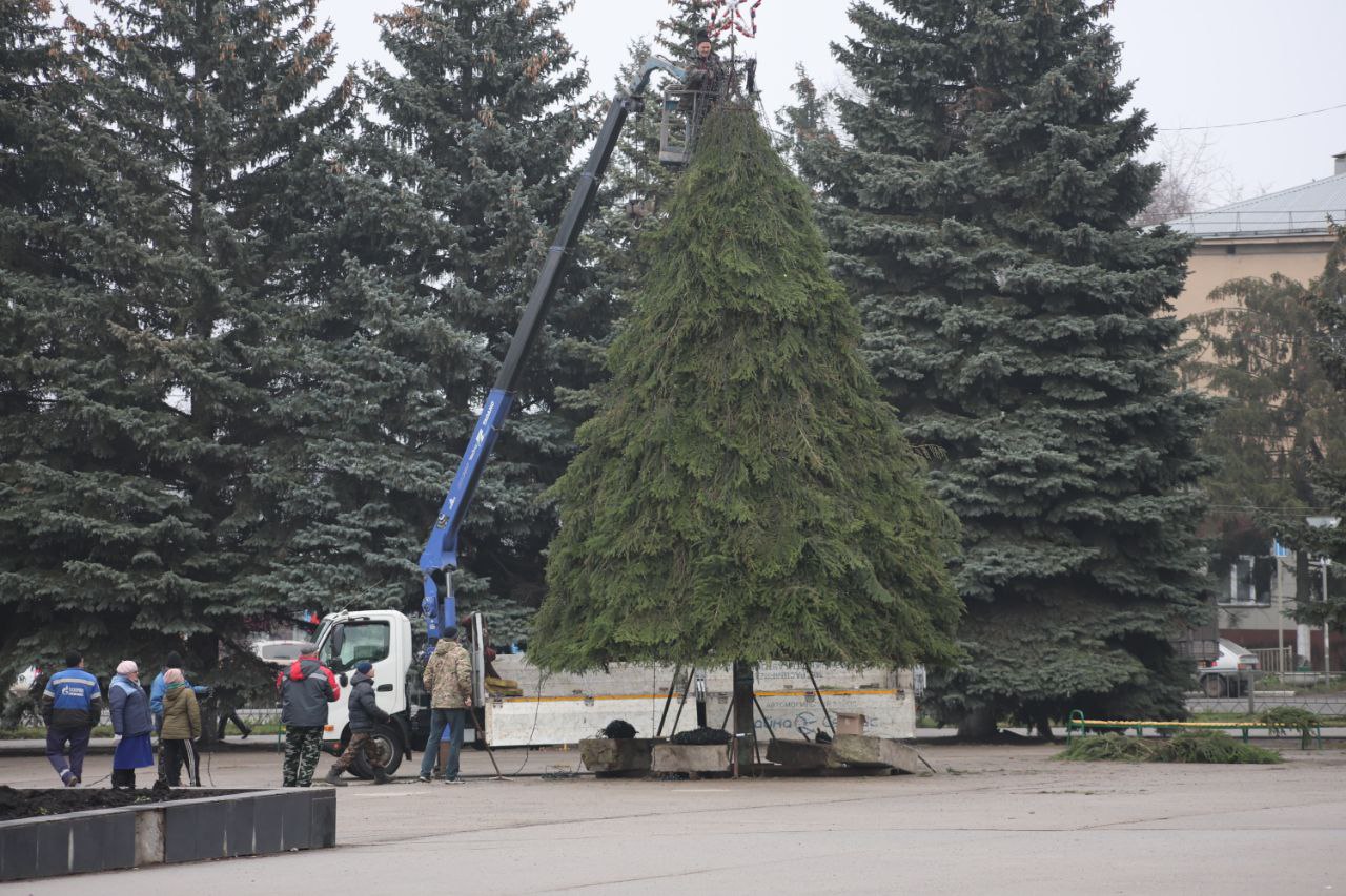 В Плавске устанавливают елку