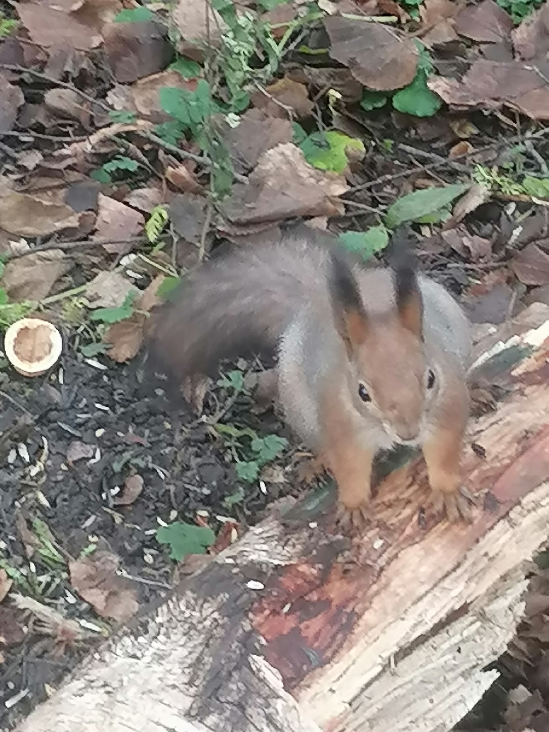 clu_bld_ddgpidckmre3ejkq-hm4jw4168y8vqdoev5abw-fhwmwzyflrmuhl9kgj7iqk9ydfq0xlhdjnxp-ebpk