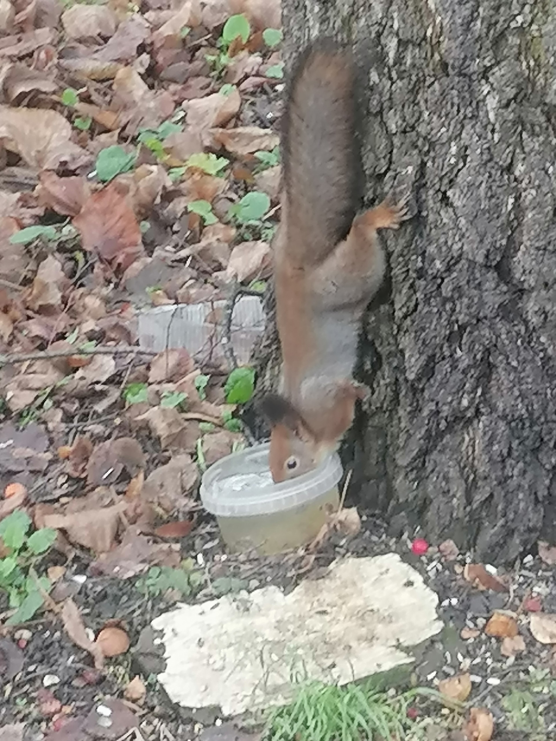 olzeee12dka6gqnmxrojxemlnahhtwipav1womuusgqhm8kxmwj38uvikxjd0gixulw955si5ho-8hfotfpwiw4b