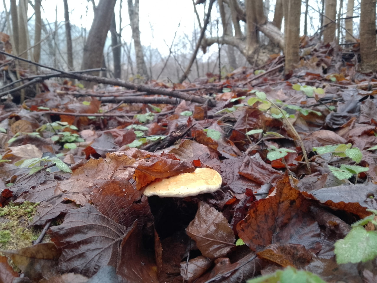 photo_1_2025-12-05_15-13-16