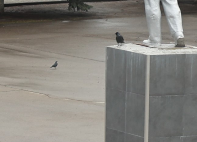 «Город в деталях»: угадайте Плавск по одному кадру! «Город в деталях»: угадайте Плавск по одному кадру!