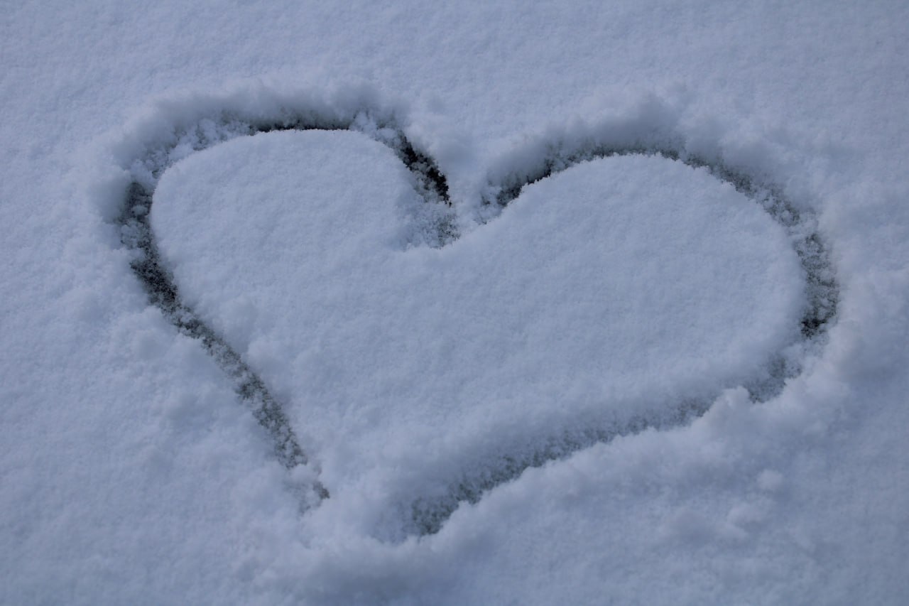 Город преобразился: Плавск укрыл первый настоящий снег Город преобразился: Плавск укрыл первый настоящий снег