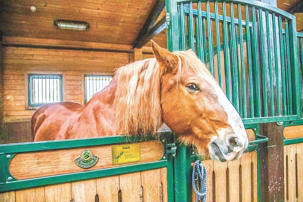 photo_2025-12-26_15-36-45