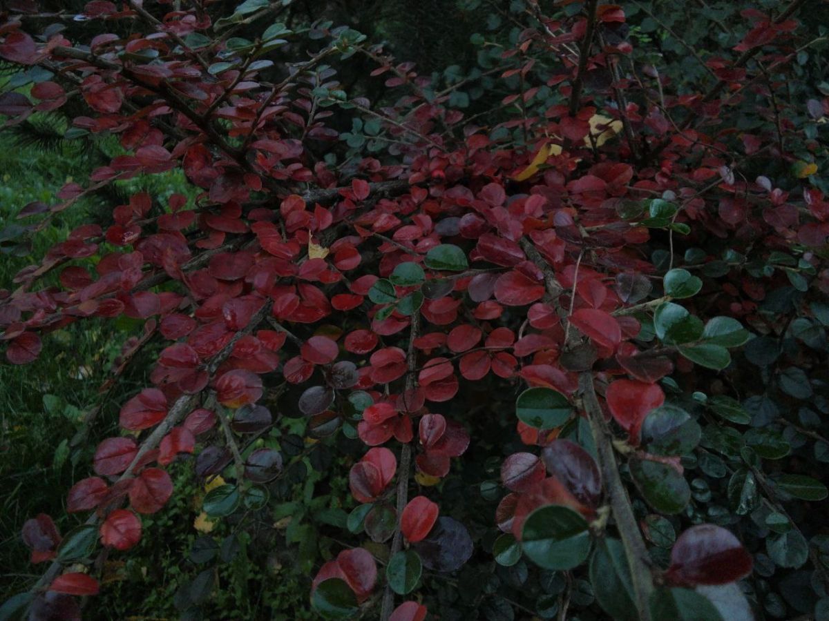 Продолжаем рубрику «Красота родного края» Продолжаем рубрику «Красота родного края»