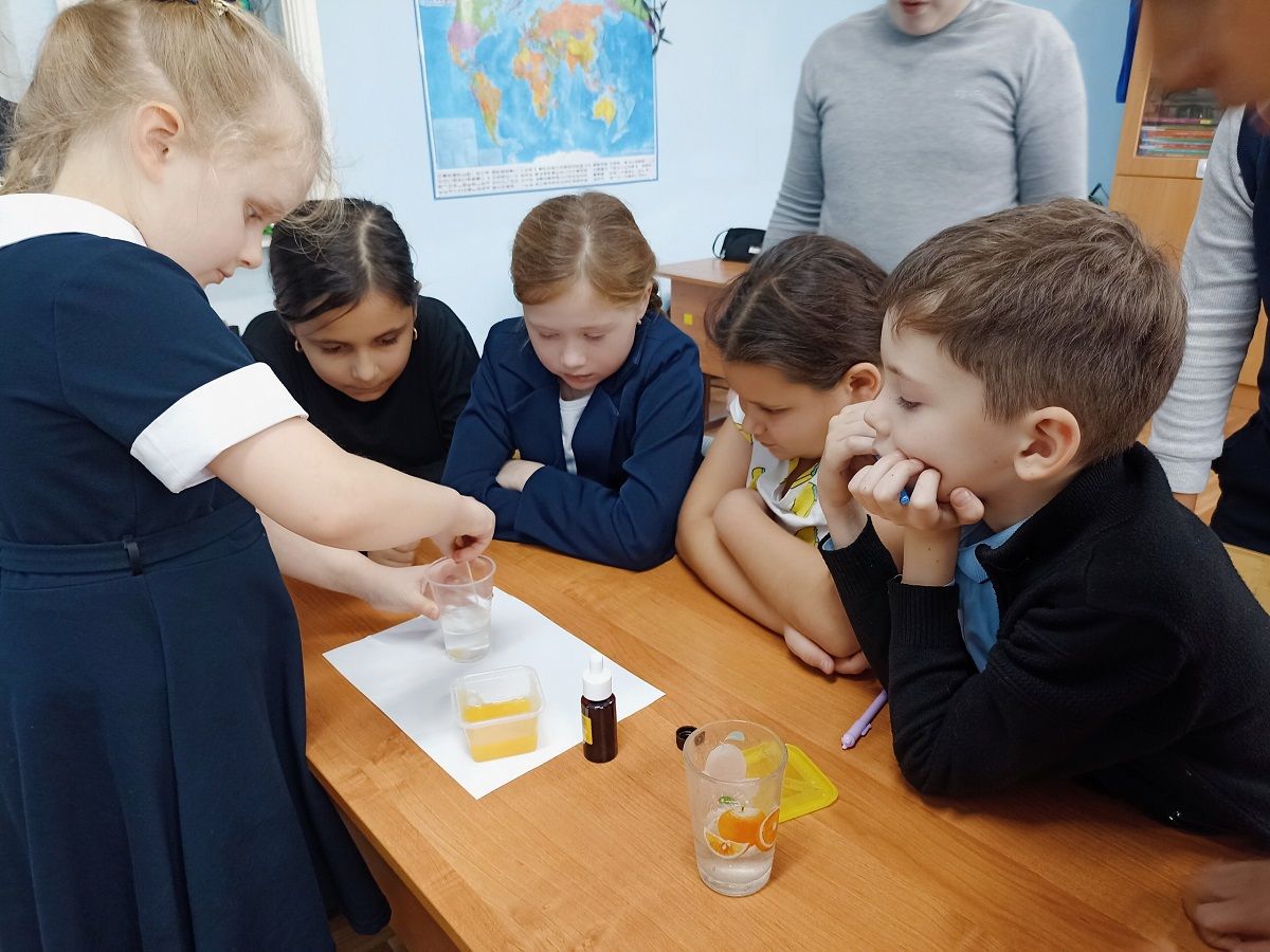 Плавчане расширяют кругозор