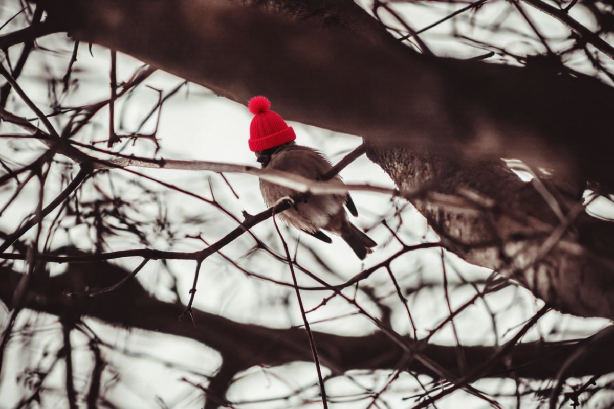 Завтра в Плавске снова пасмурно, небольшой дождь