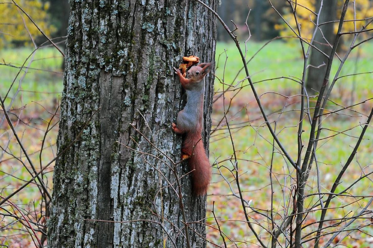 Продолжаем рубрику «Красота родного края»