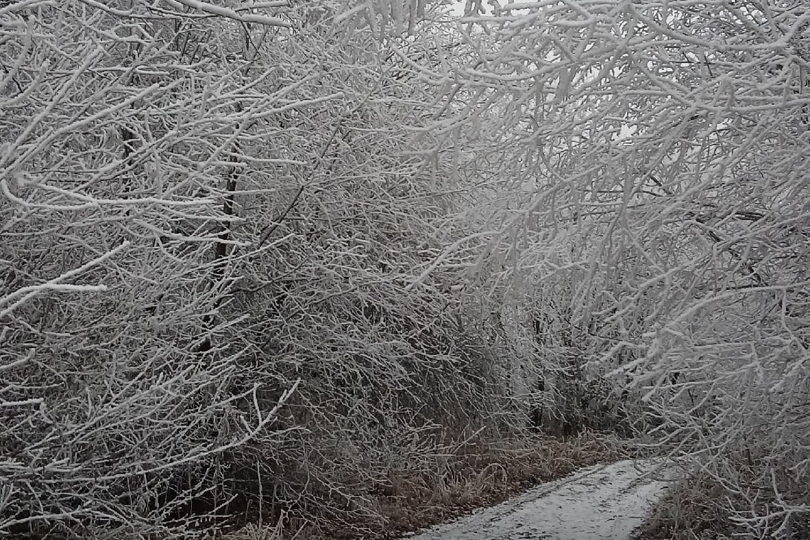 Продолжаем рубрику «Красота родного края»