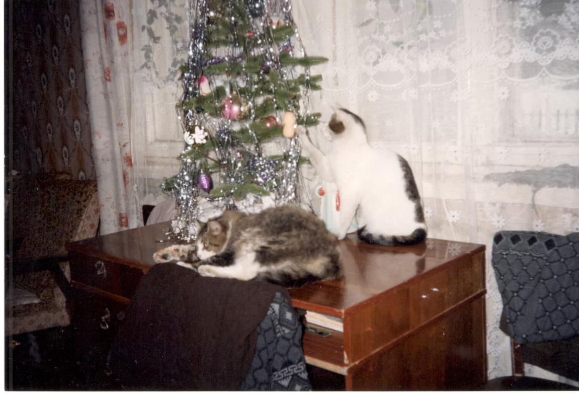 Проект «История района в лицах» продолжается: публикуем новогодние снимки из прошлого