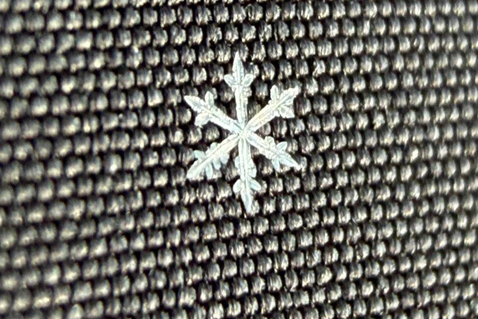 Остановитесь на мгновение — вокруг волшебство!