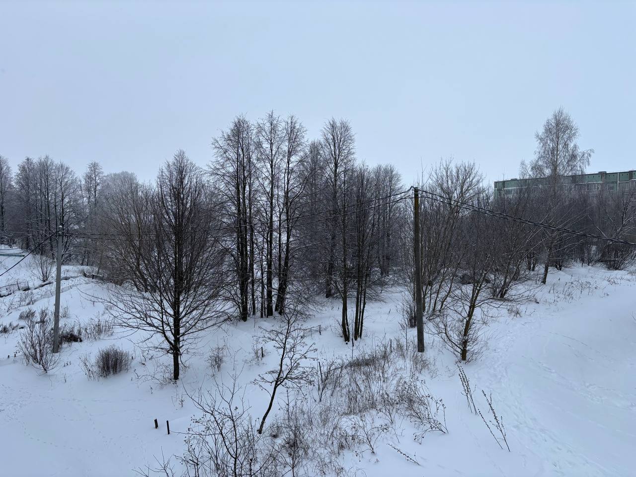 Морозы не покидают Плавск