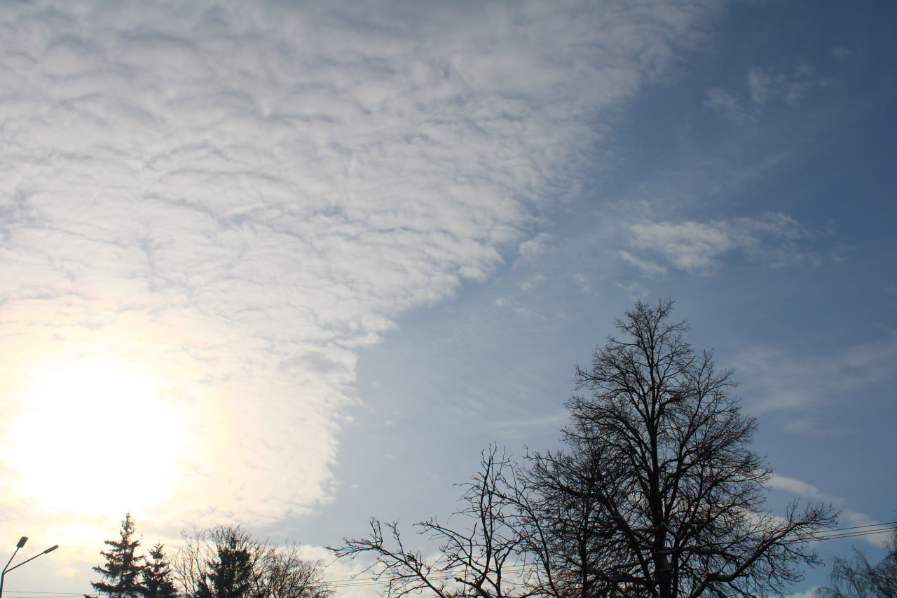 Морозы продолжают отступать