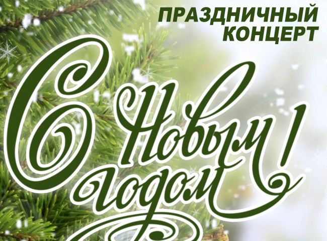 Щекинцы посетили новогодний концерт
