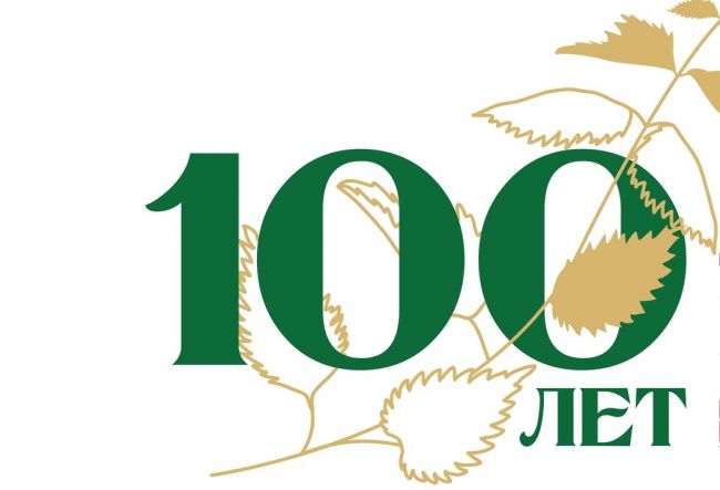 Разработан логотип к 100-летию Щекинского района