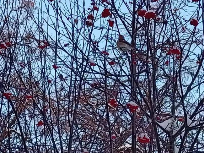 какая была погода в июле. погода в кишиневе. какая погода будет во второй половине сентября. погода на сегодня. точный прогноз погоды.