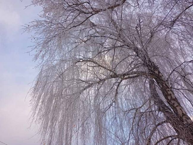 Погода в Щекино 7 февраля 2024 года