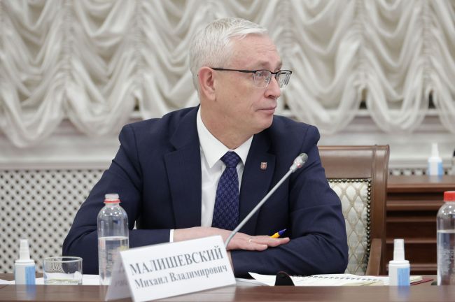 Михаил Малишевский доложил губернатору о работе здравпункта в Майском