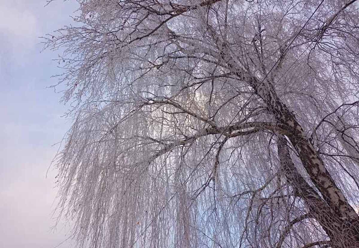 Агафья Коровница, Голодуха. Народные приметы