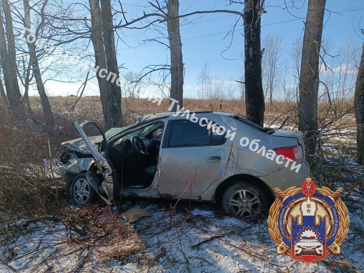 В Щекинском районе машина врезалась в дерево