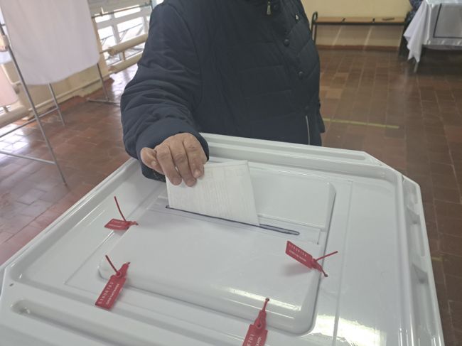 В Тульской области явка на выборах на 10.00 17 марта составила 61,84%