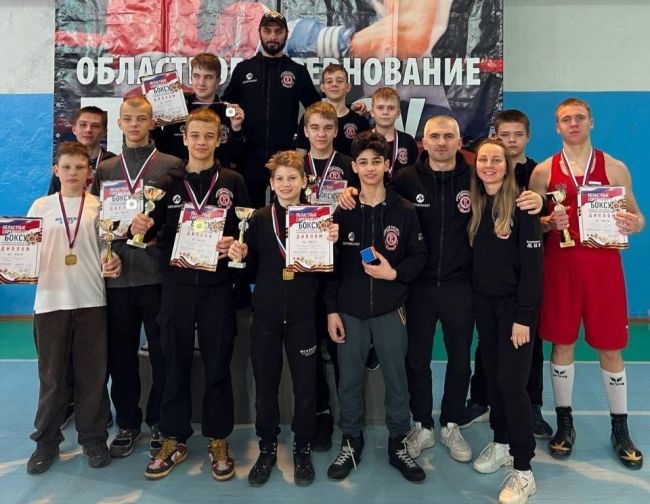 Щекинские боксеры отличились на областных соревнованияъ