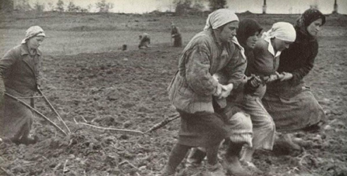 О чем писал «Щёкинский шахтёр» весной 1945 года