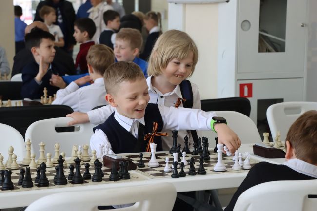 В Туле наградили победителей регионального этапа соревнований по шахматам «Дебют»