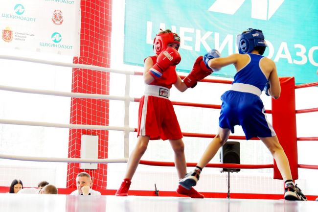 В Щекинском районе проходит турнир по боксу, посвященный Дню химика