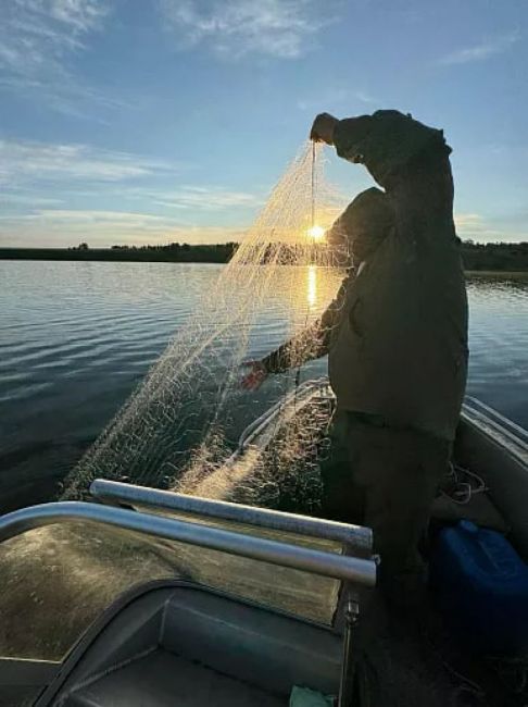 На Щёкинском водохранилище обнаружили и сняли 800 метров рыболовных сетей