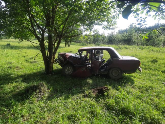 ДТП в Щёкинском районе: «семёрка» врезалась в дерево