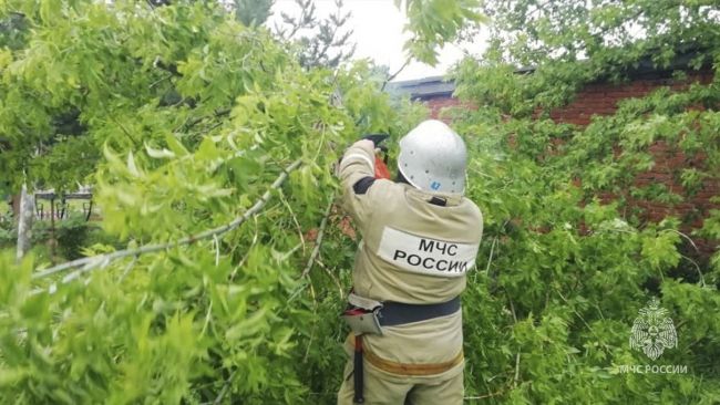 Сотрудники МЧС России ликвидируют последствия сильного ветра и дождя  Тульской области