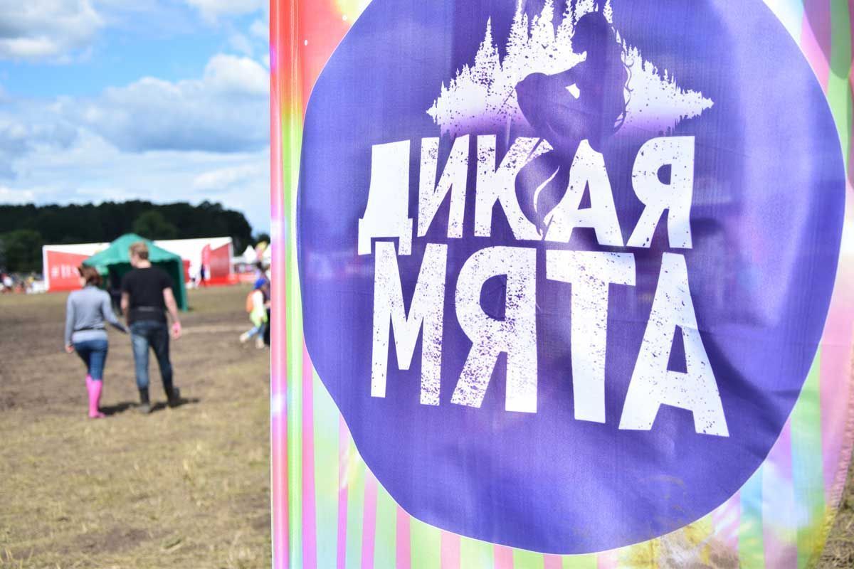 В Тульской области проходит фестиваль «Дикая Мята»