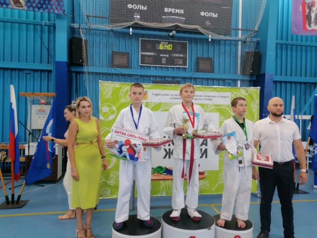 Единоборцы из Щекинского района завоевали медали в Ливнах
