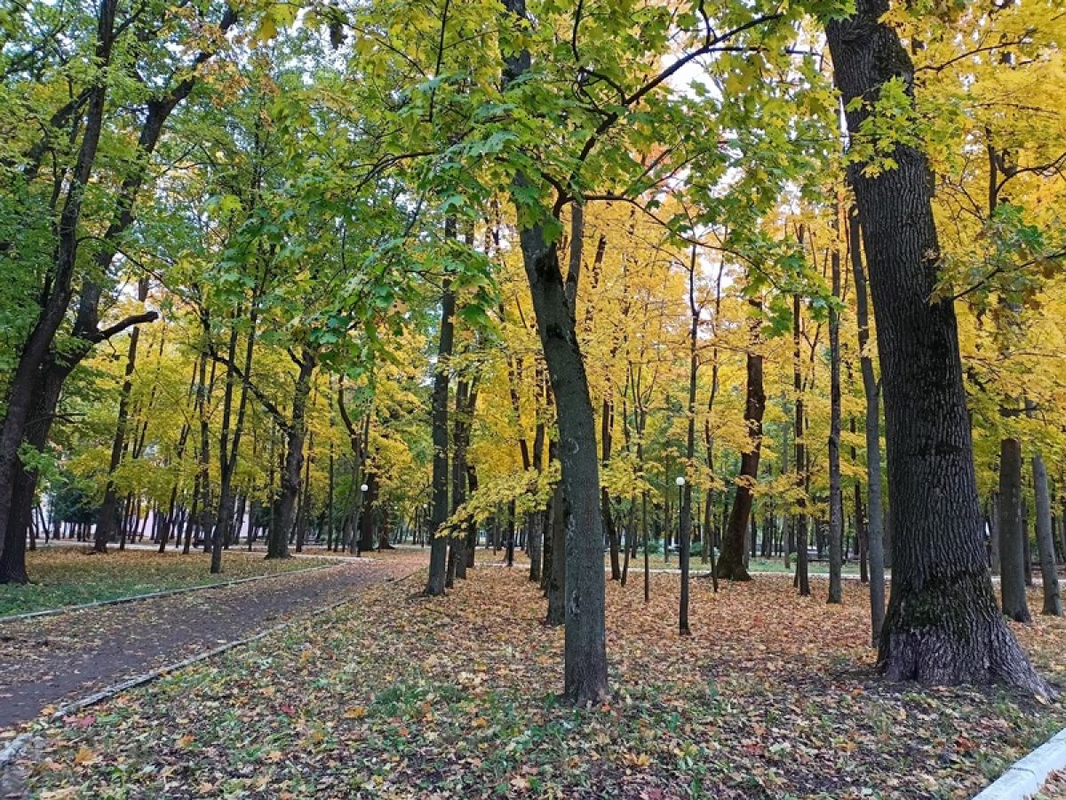 Погода в Щекино 3 октября 2025 года