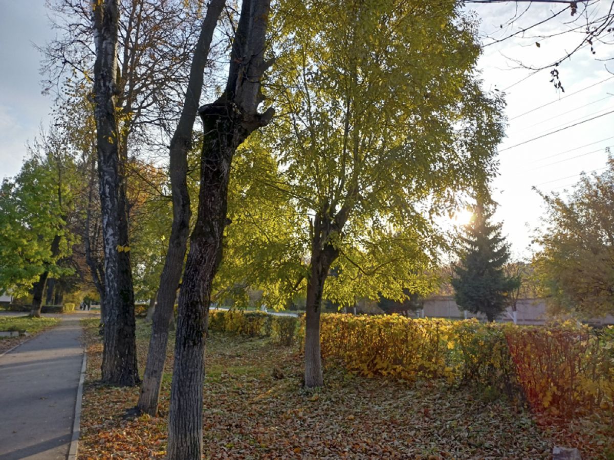 Погода в Щекино 4 ноября 2025 года Погода в Щекино 4 ноября 2025 года