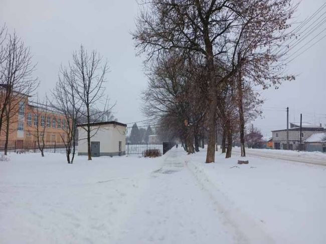 Погода в Щекино 29 ноября 2023 года